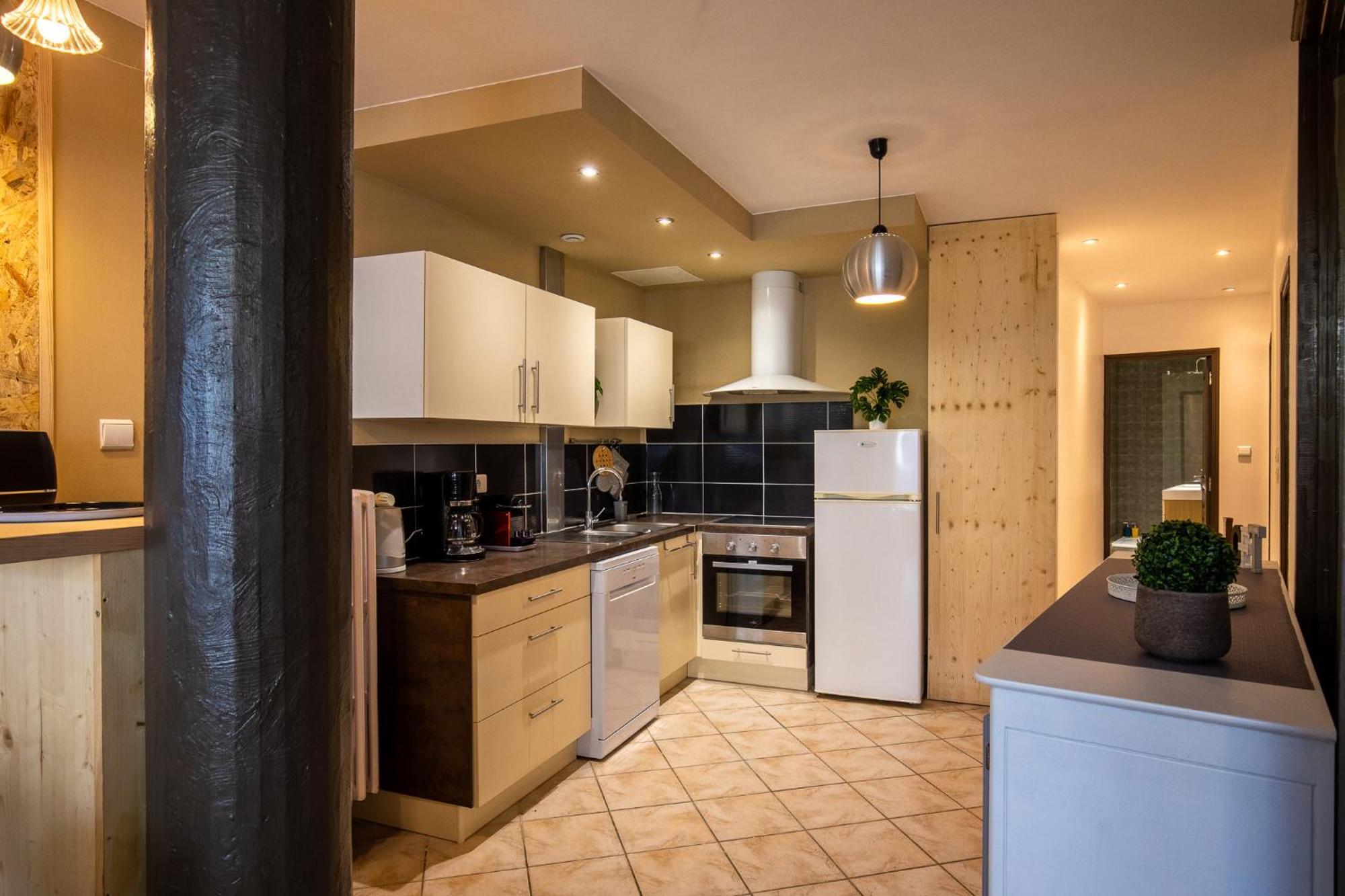 Apartment Loft Spacieux *