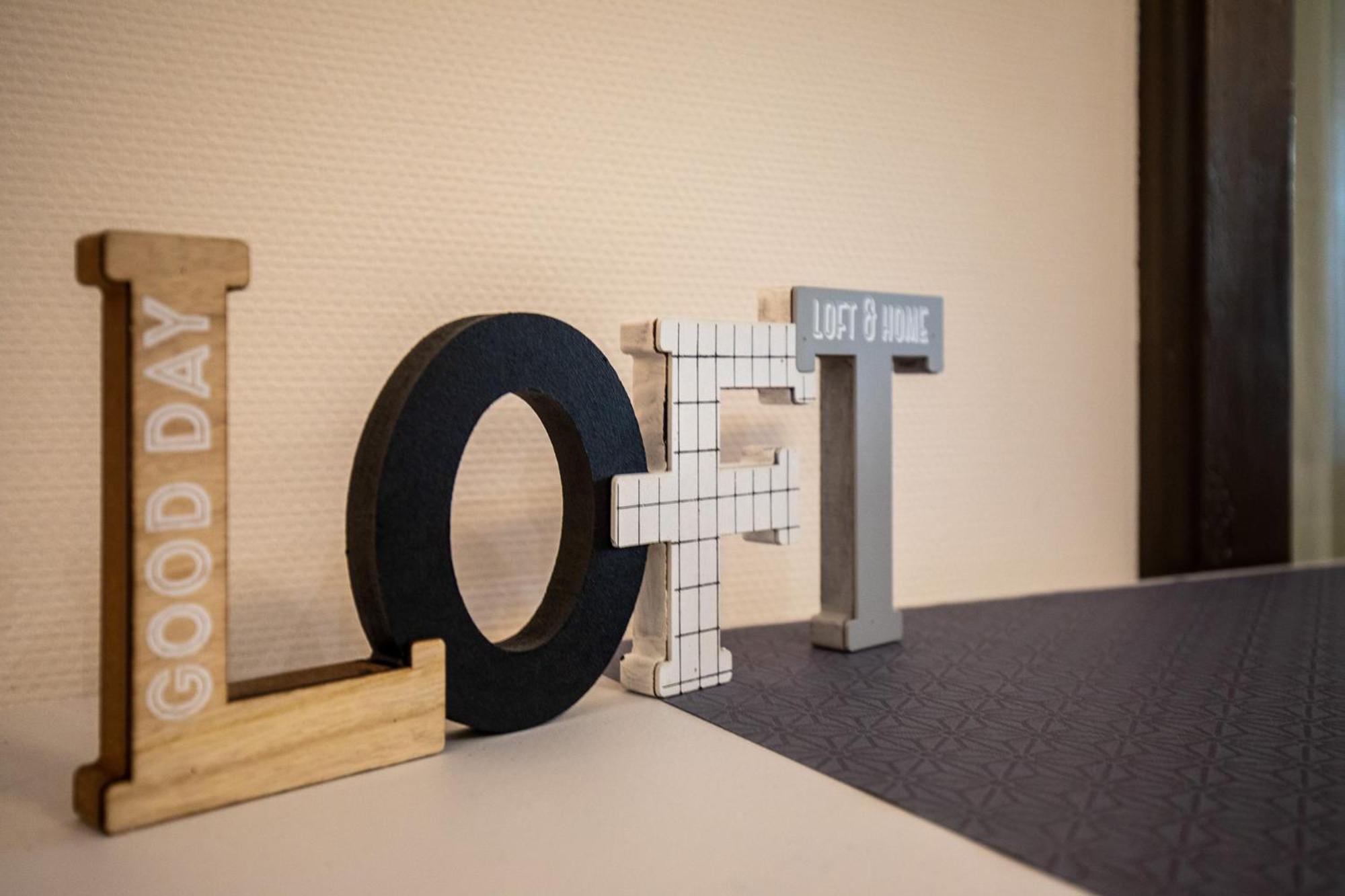 Loft Spacieux Apartment Chambéry