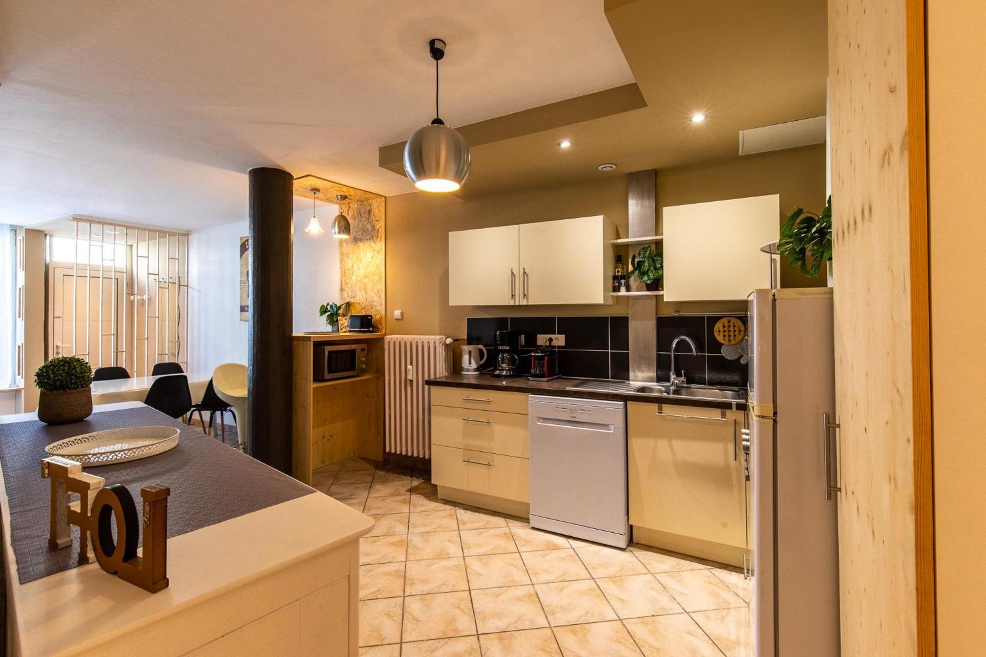 Loft Spacieux Appartement Chambéry